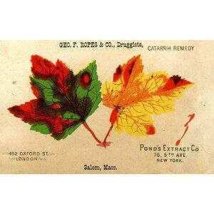 1880's Victorian Trade Card Ponds Extract Quack Medicine Geo F Ropes Druggist!